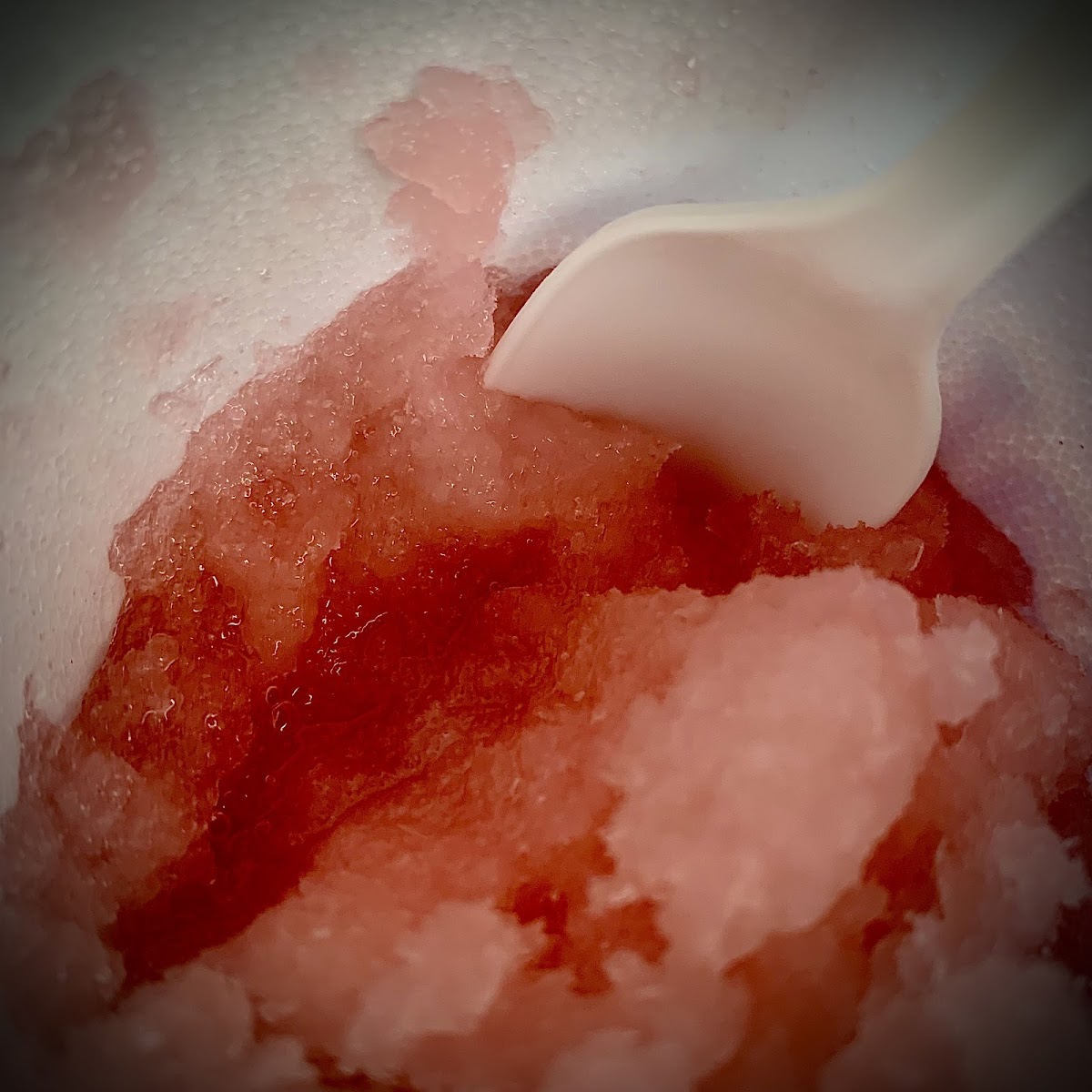 Calhoun’s Tropical Sno Photo 7