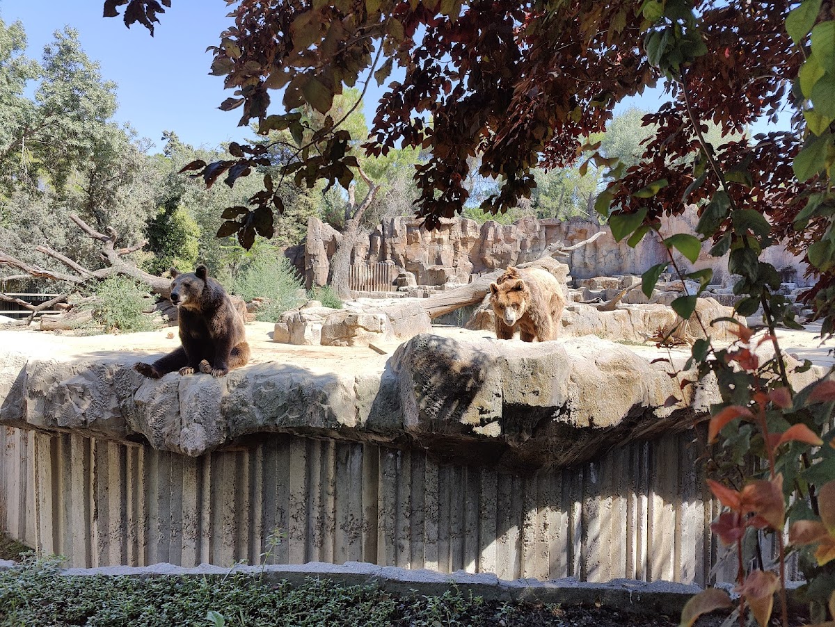 Cafetería del zoo de Madrid Photo 2