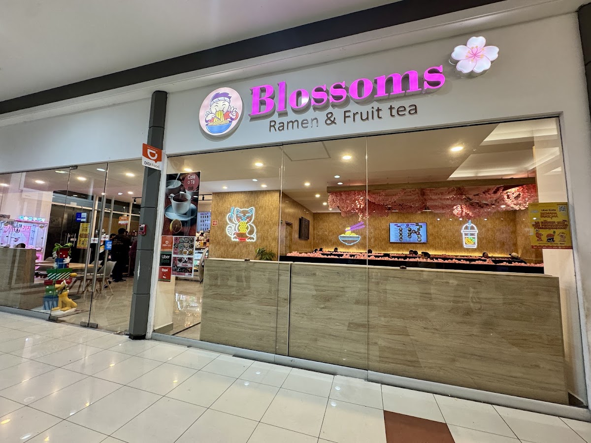 Blossoms - Ramen & Fruit Tea