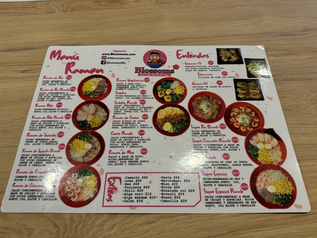Blossoms - Ramen & Fruit Tea Photo Menu 5