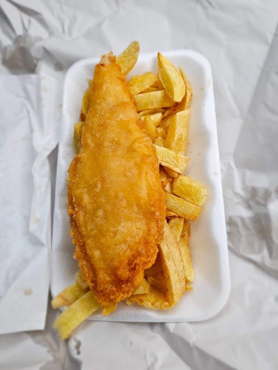 Dhilons Golden Chippy Photo 3
