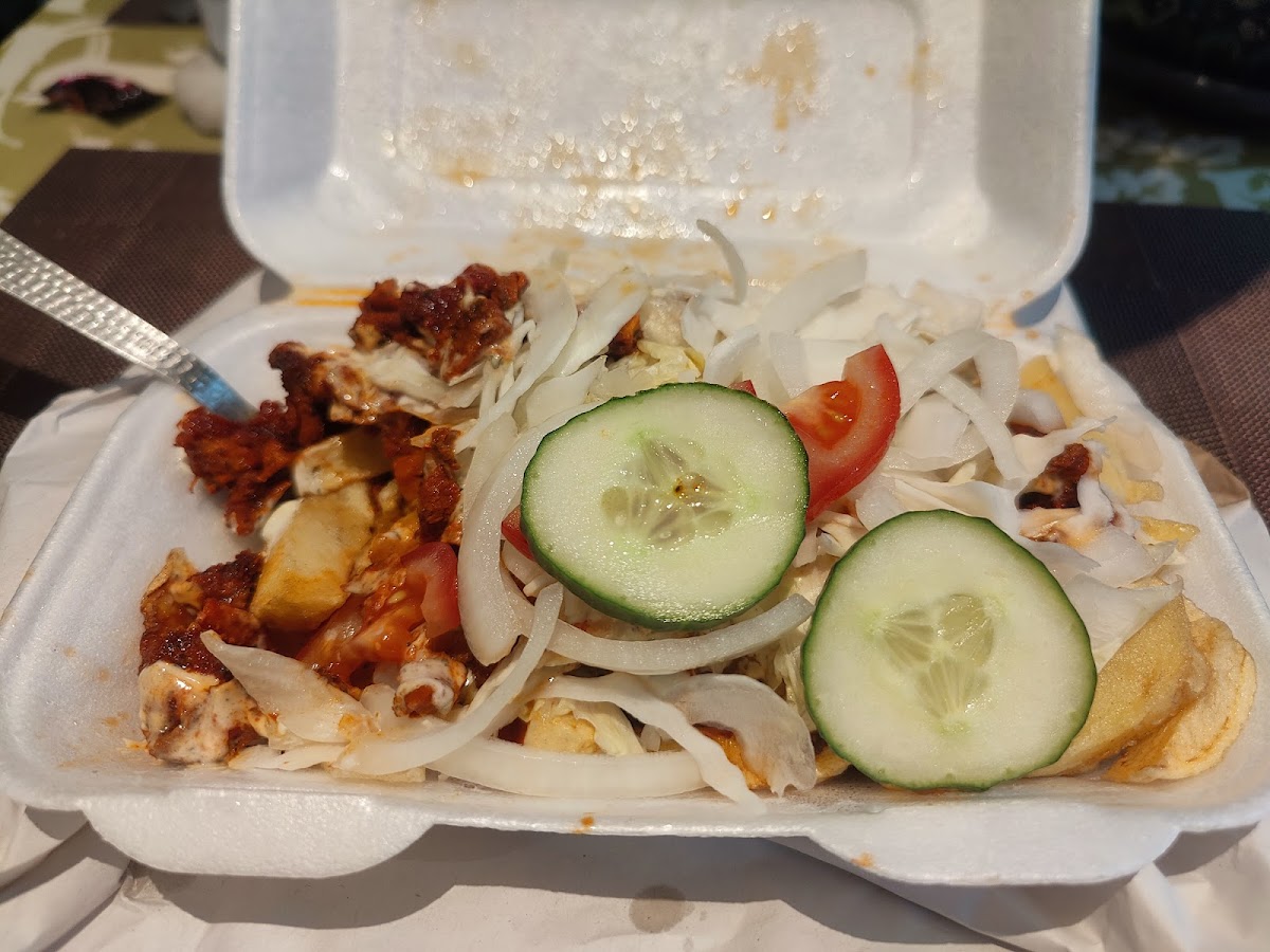 Dhilons Golden Chippy Photo 4