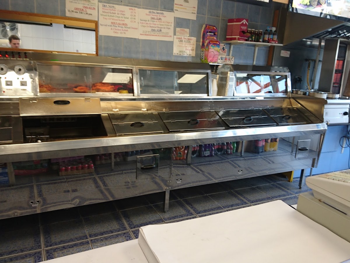 Dhilons Golden Chippy Photo 6