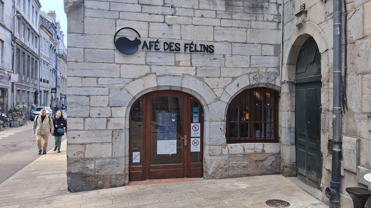 Café des Félins