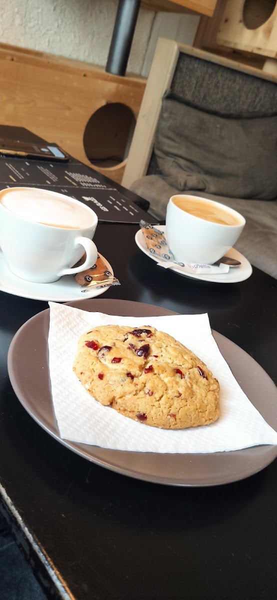 Café des Félins Photo 7