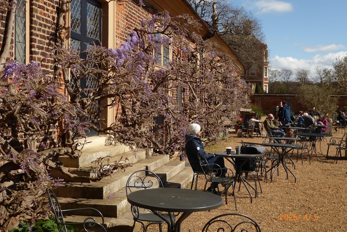 Orangery Café