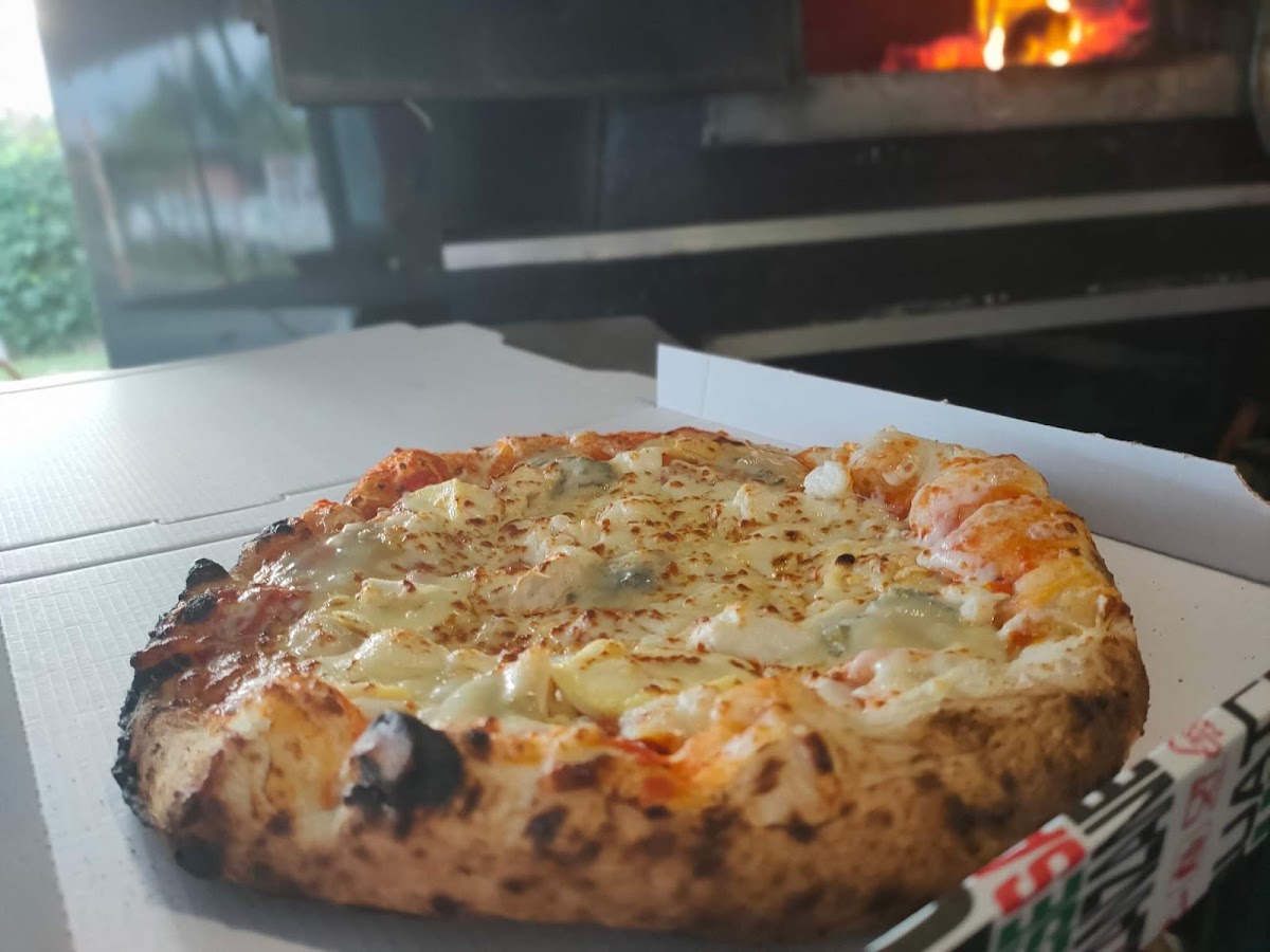 PizzaYolo
