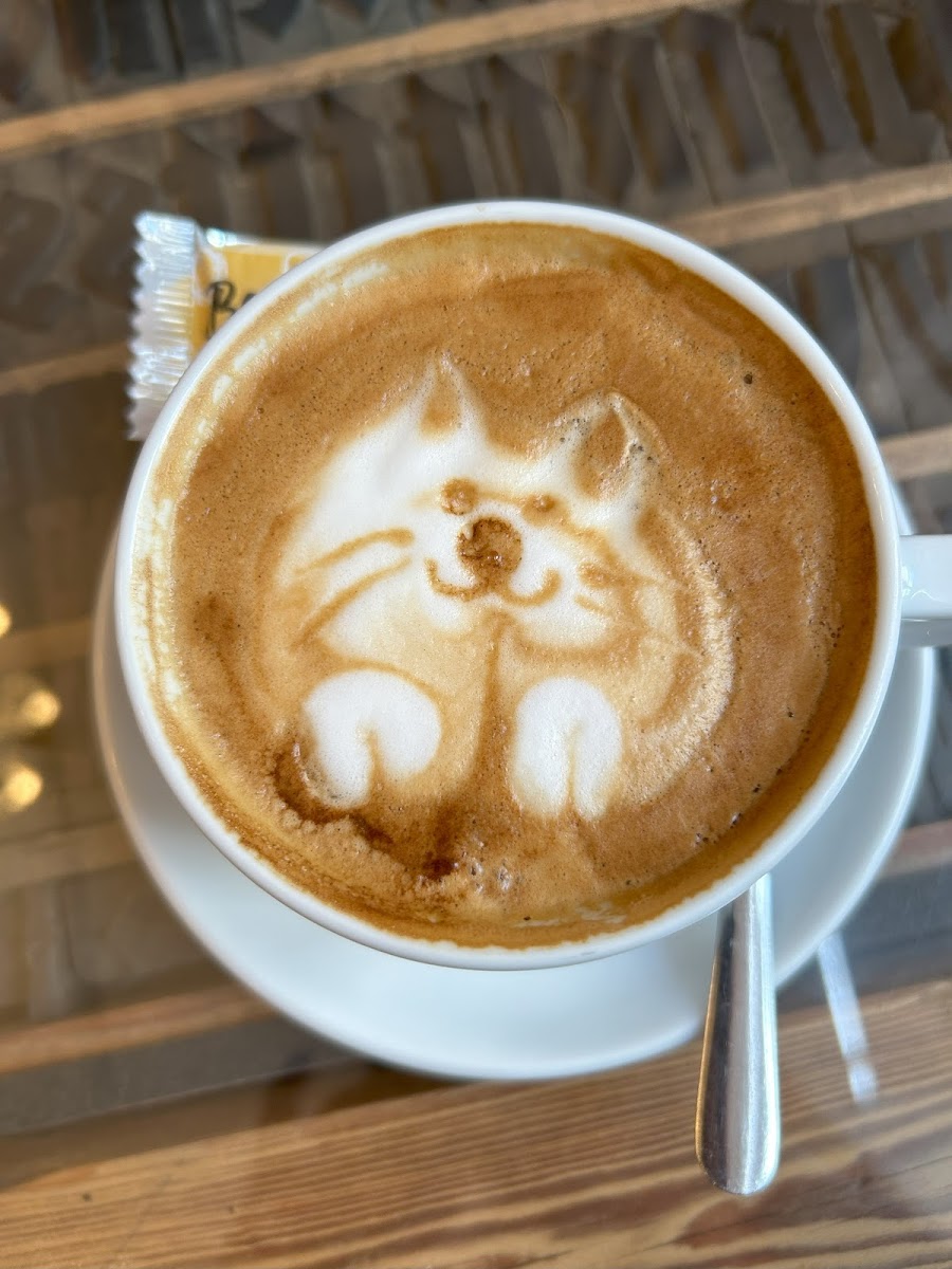 Czappuccino Photo 9