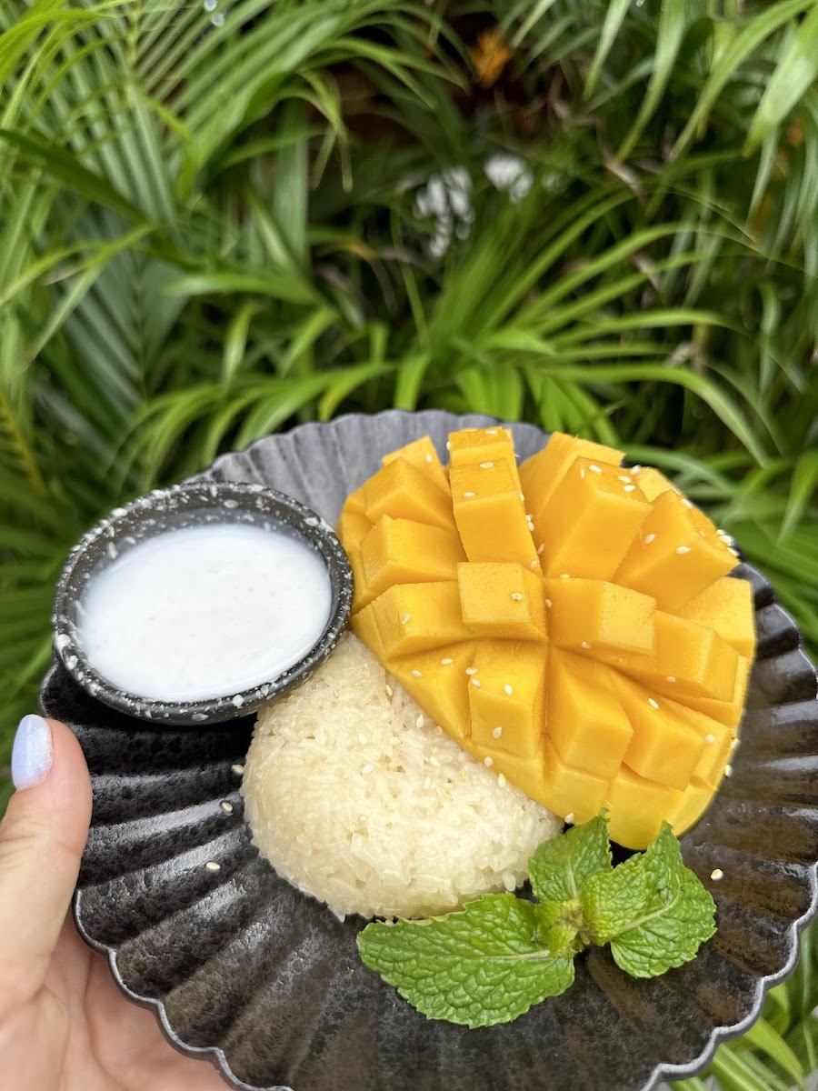Vida Nova Phuket Photo 9