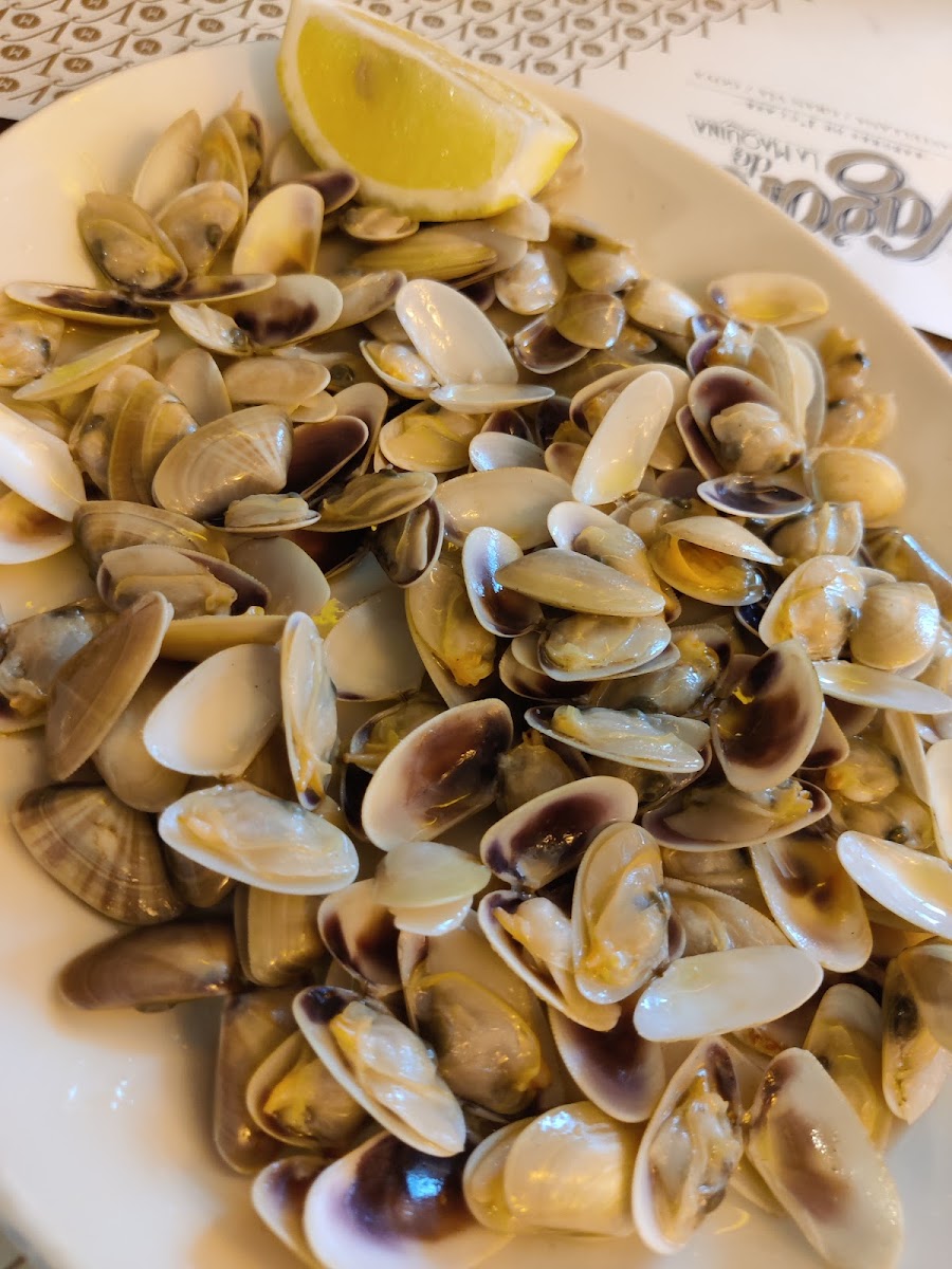 El Vagón de La Máquina Castellana | Gourmet Experience Photo 8