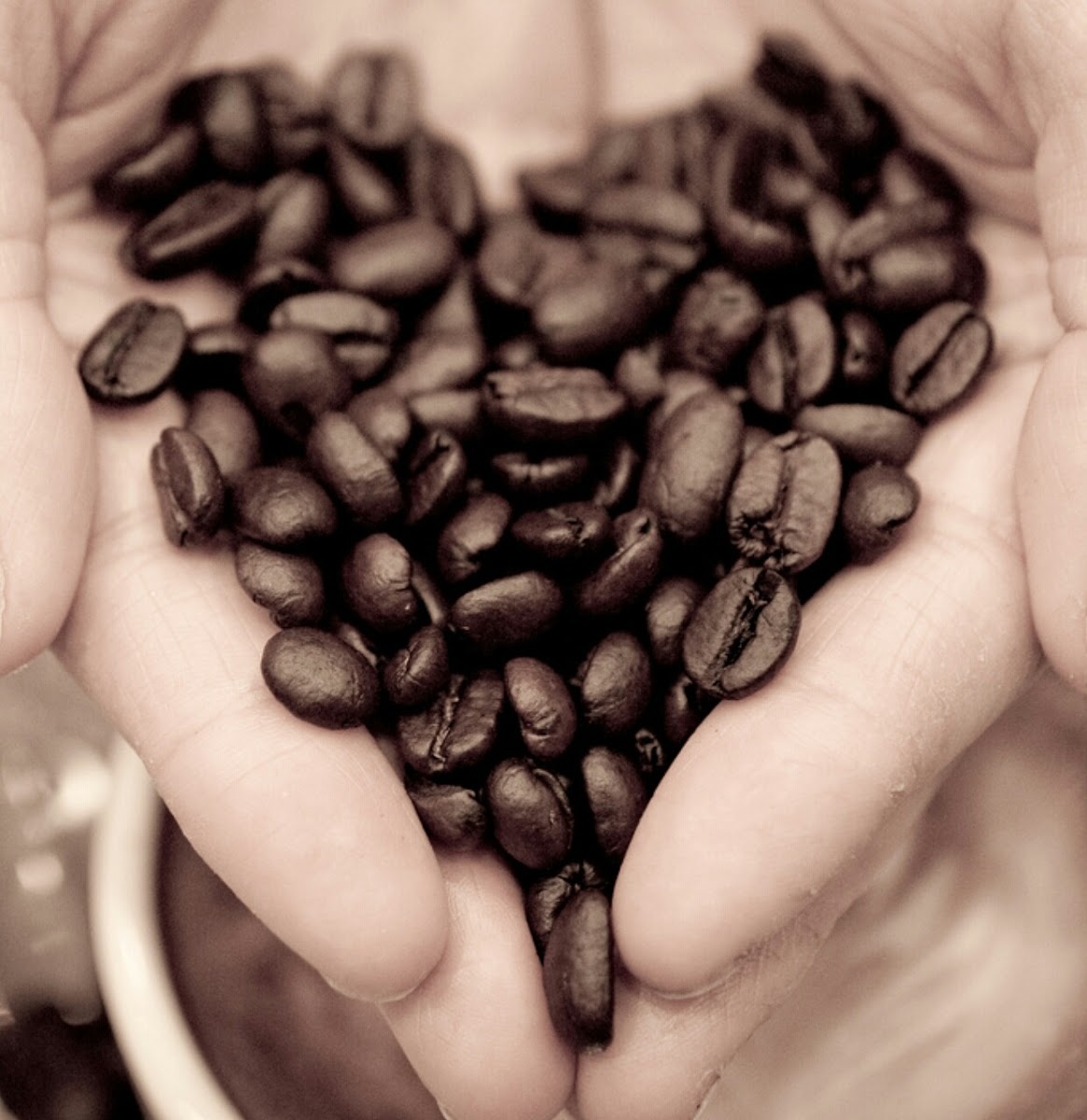 Il Massimo Del Caffè Photo 10