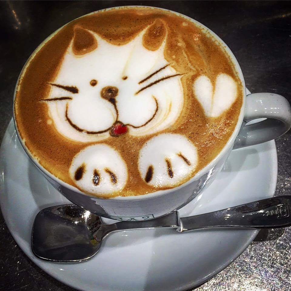 Il Massimo Del Caffè Photo 8
