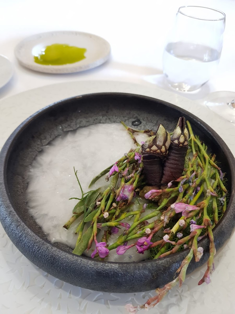 APONIENTE Photo 8