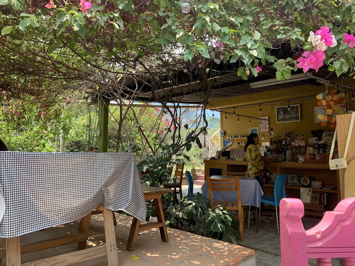 El Jardín de Xolotl