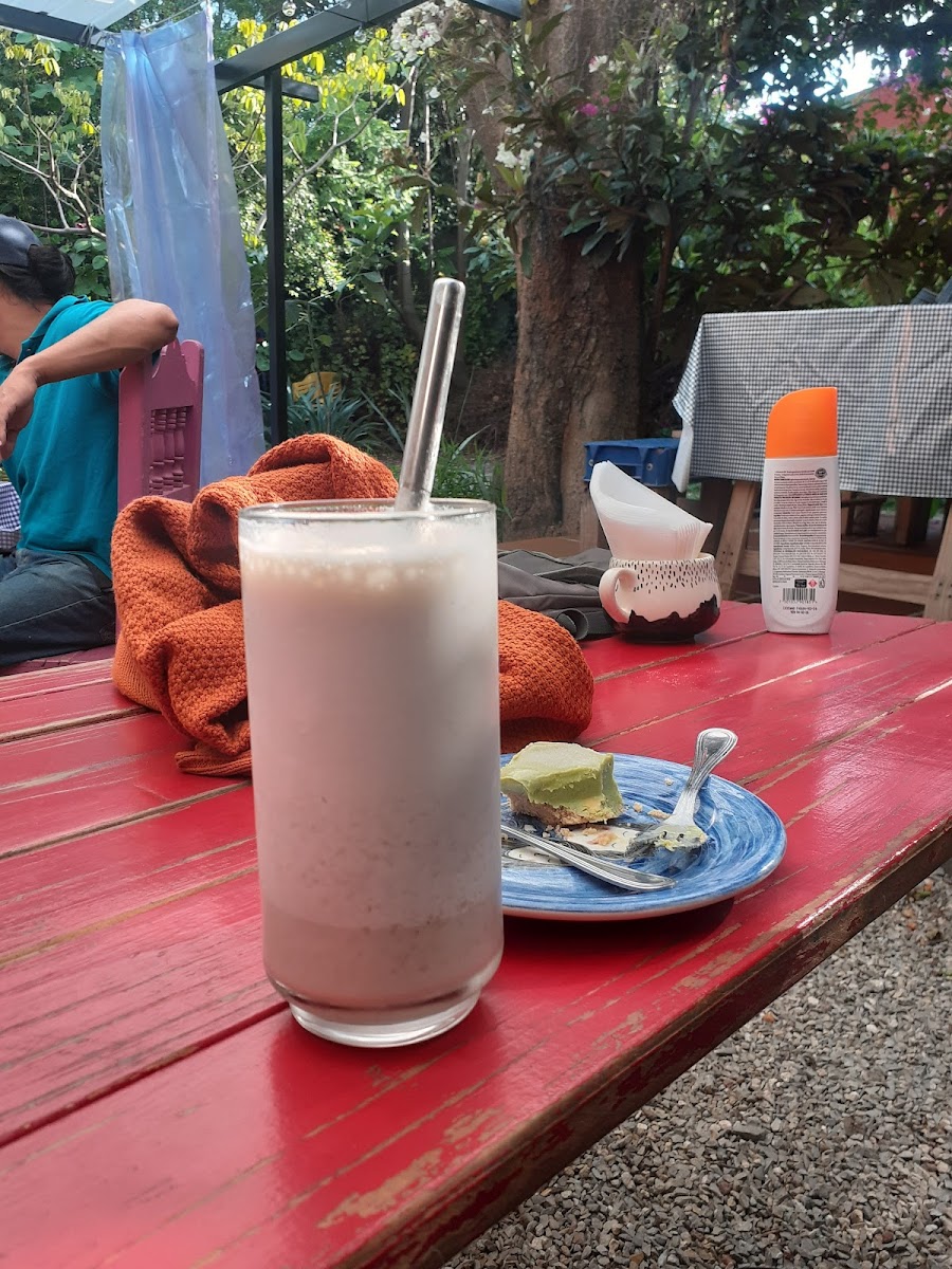 El Jardín de Xolotl Photo 3