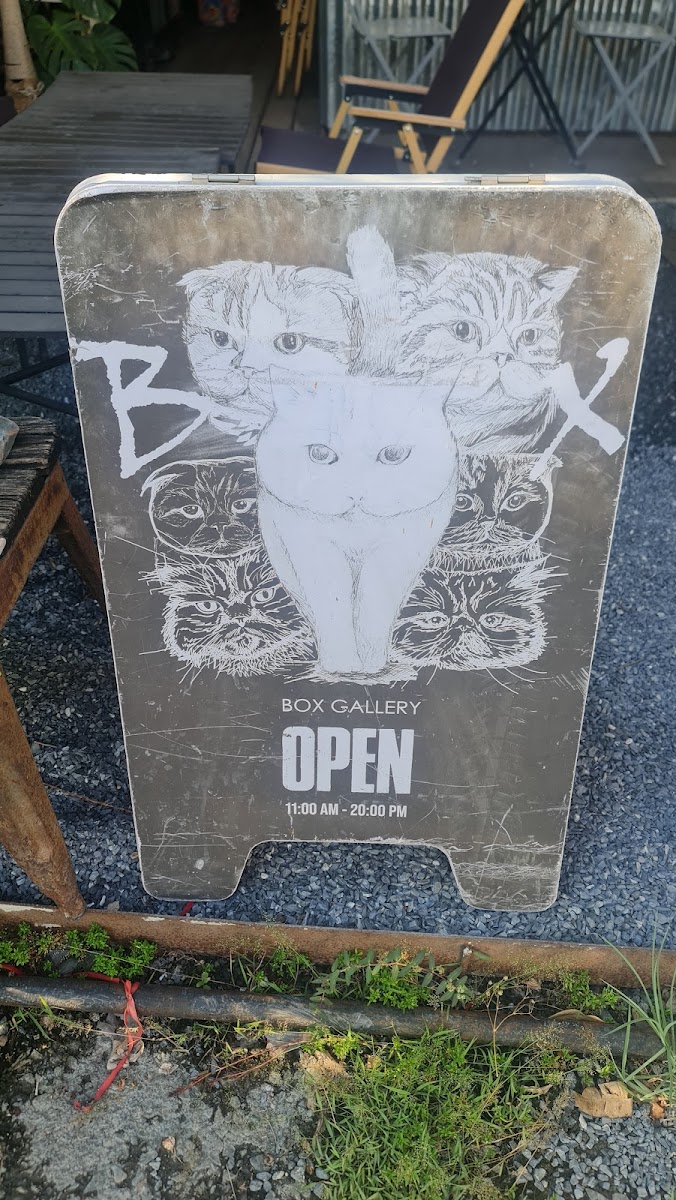 Boxgallery Photo 5
