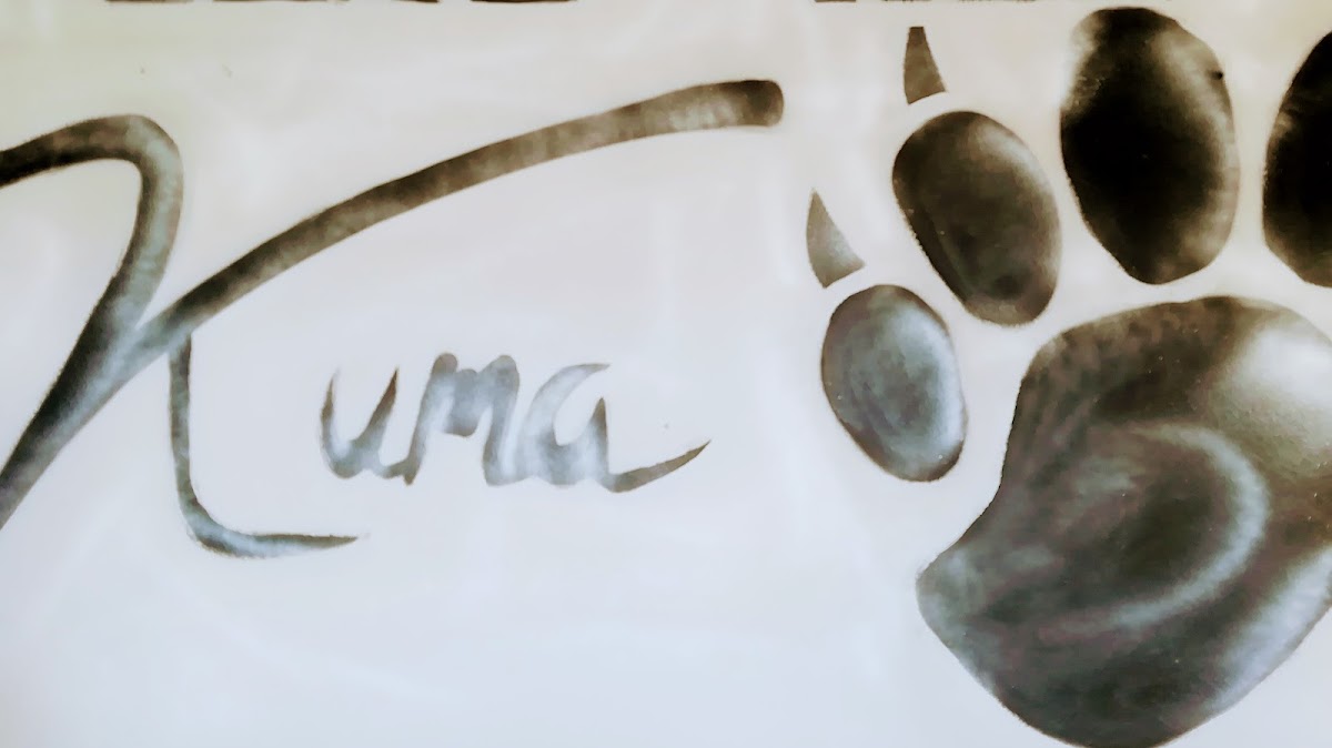 cafe-bar kuma Photo 3