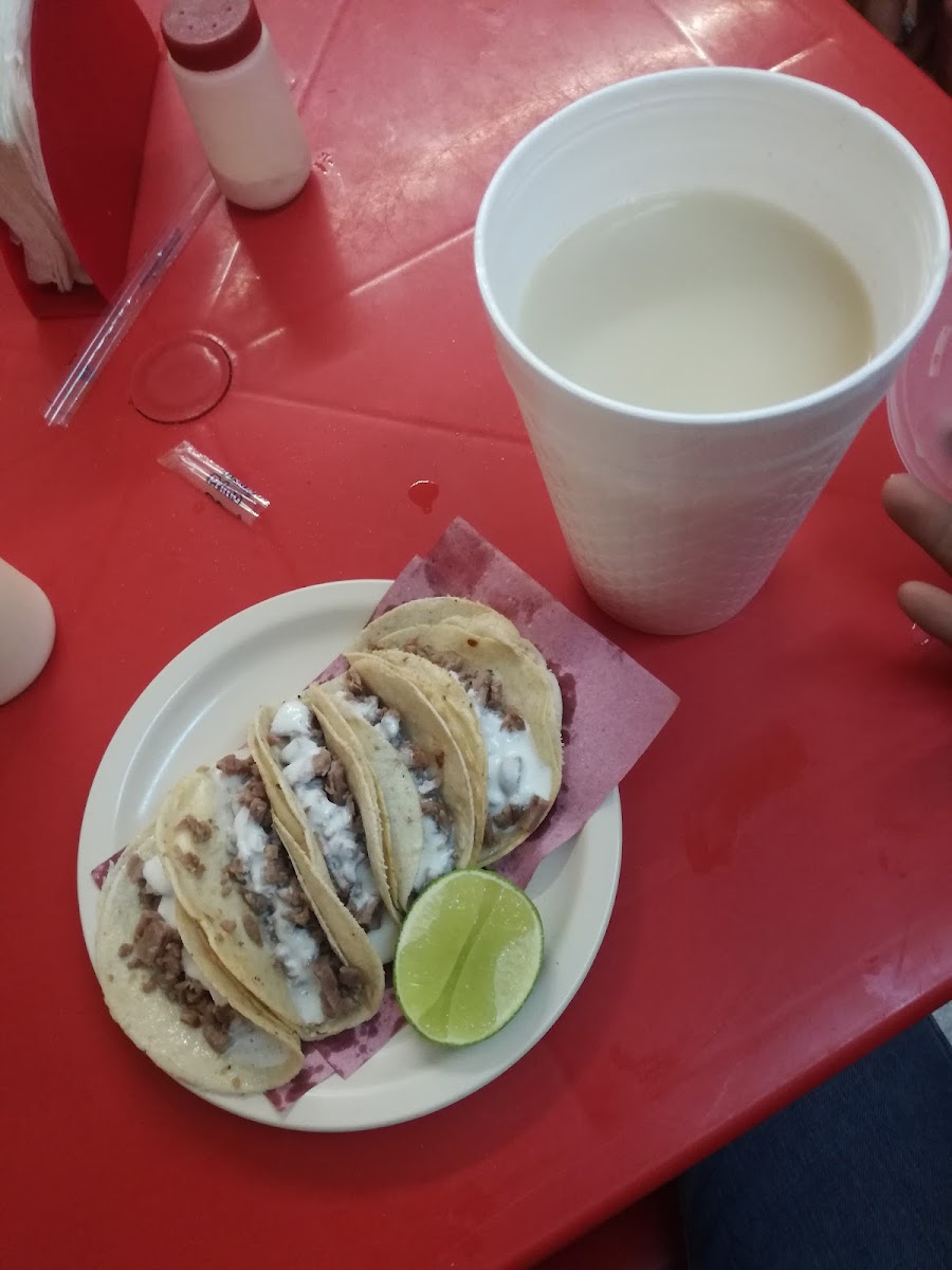 Taqueria 52 Photo 8