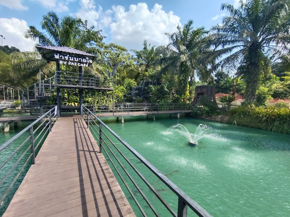 ฟาร์มบายใจคาเฟ่ farm by-jai café & restaurant Photo 4