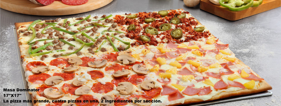 Domino's Pizza Polifórum Photo 9