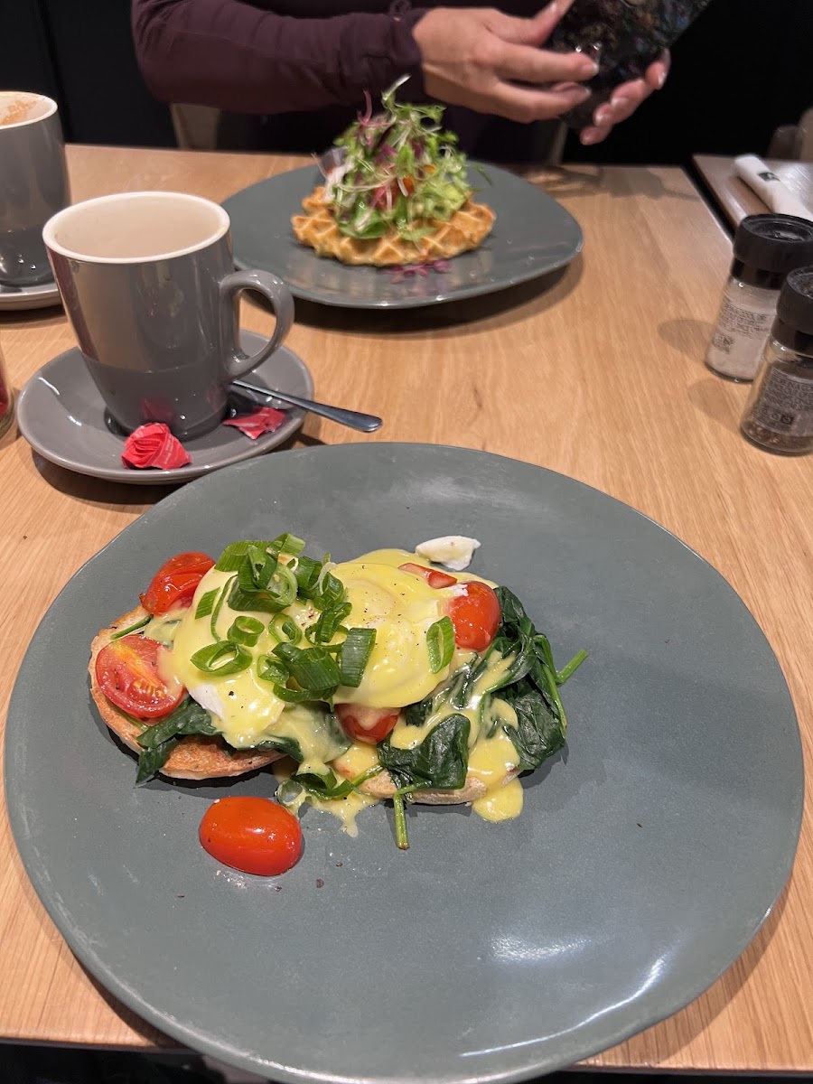 Woolworths Cafe Benmore Gardens Photo 4