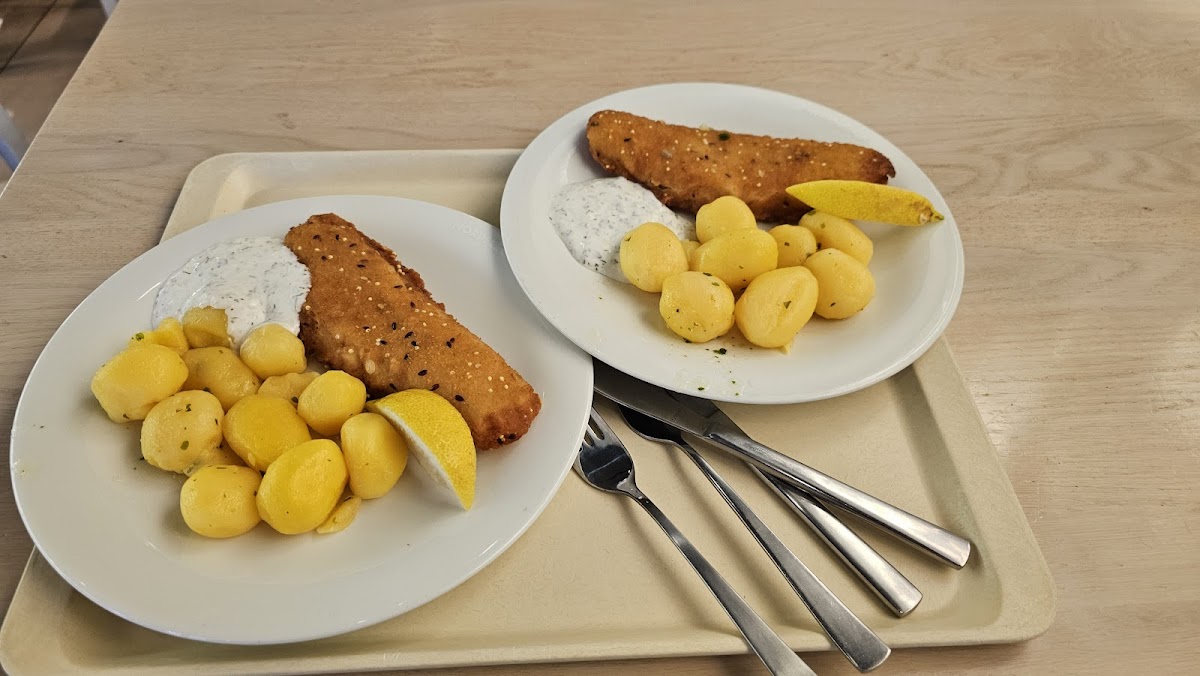 NORDSEE Speyer Maximilianstraße Photo 10