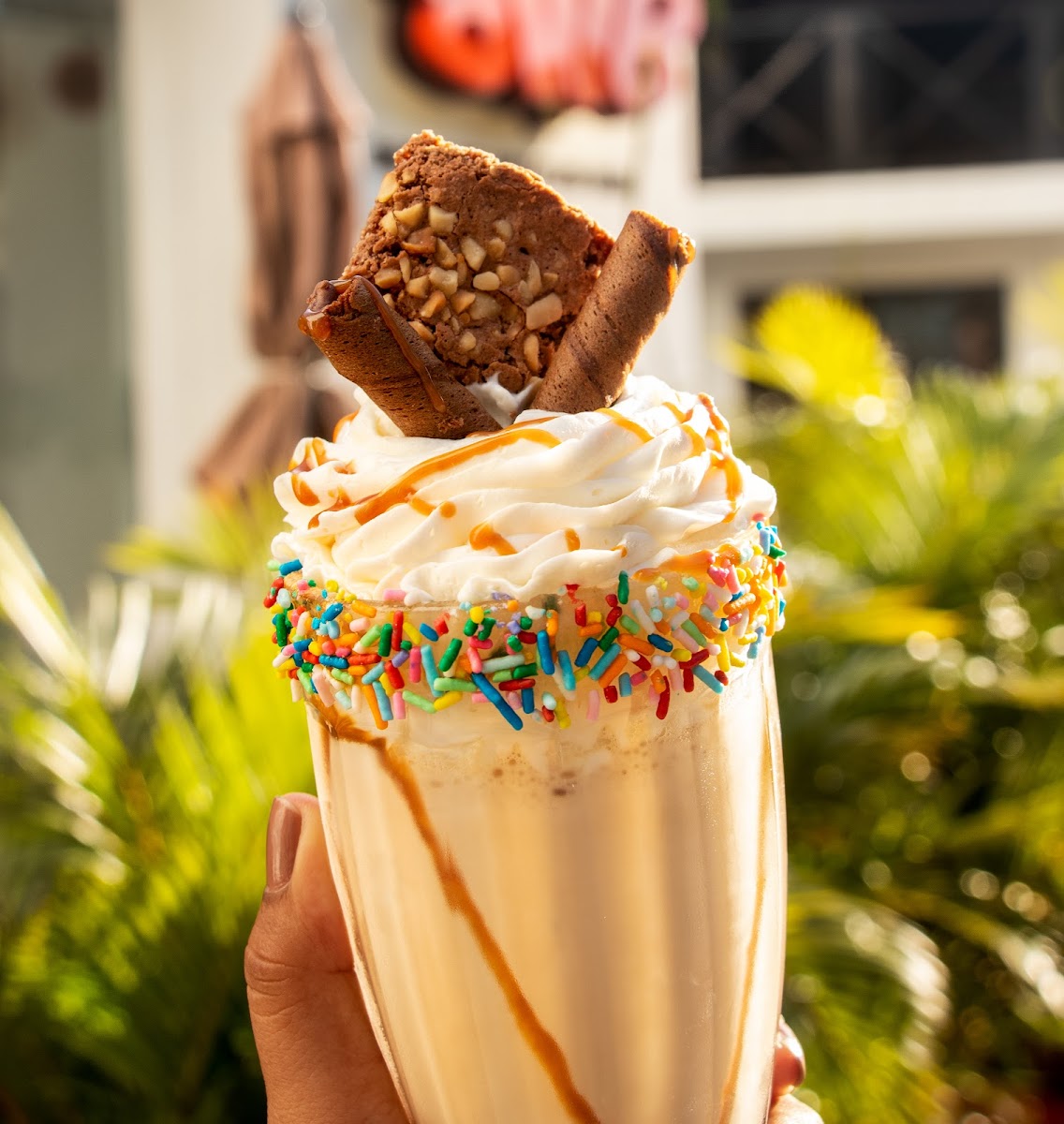 Bubbles Waffles Bga Photo 9