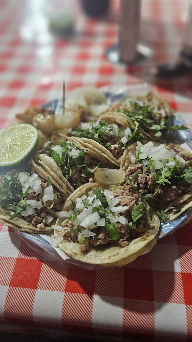 Taqueria Villa San Francisco
