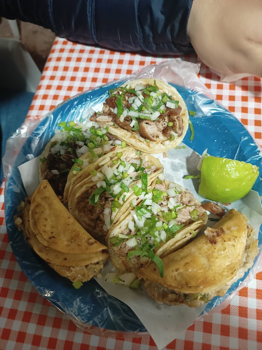 Taqueria Villa San Francisco Photo 5
