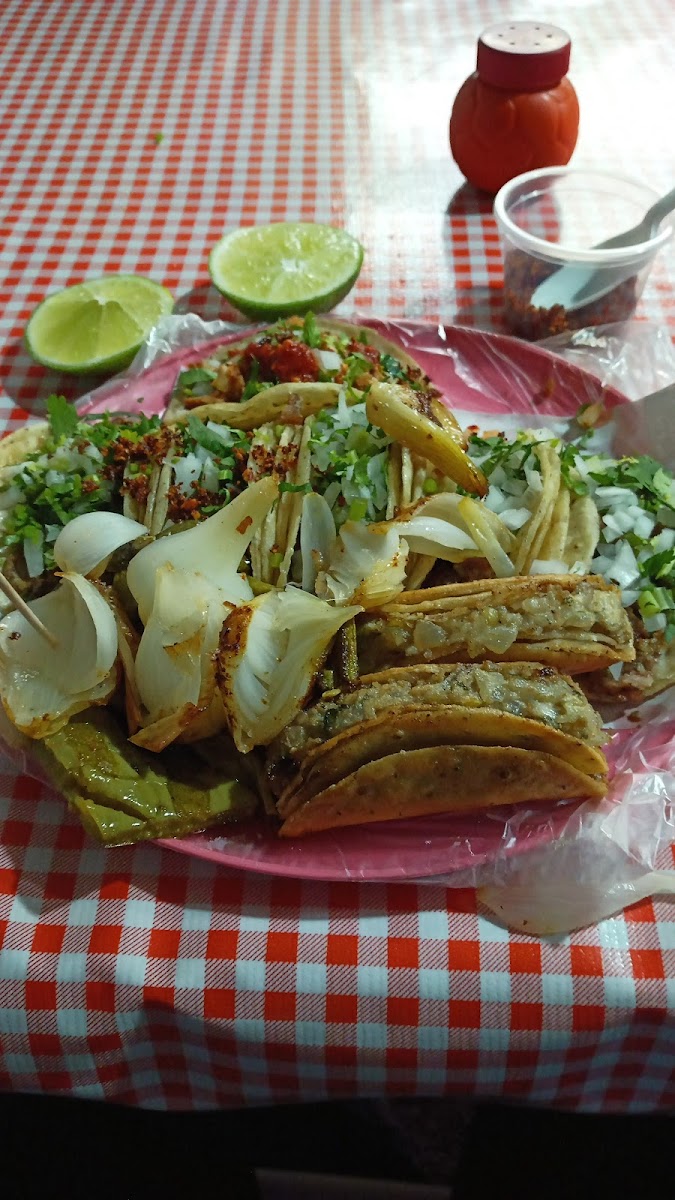 Taqueria Villa San Francisco Photo 9
