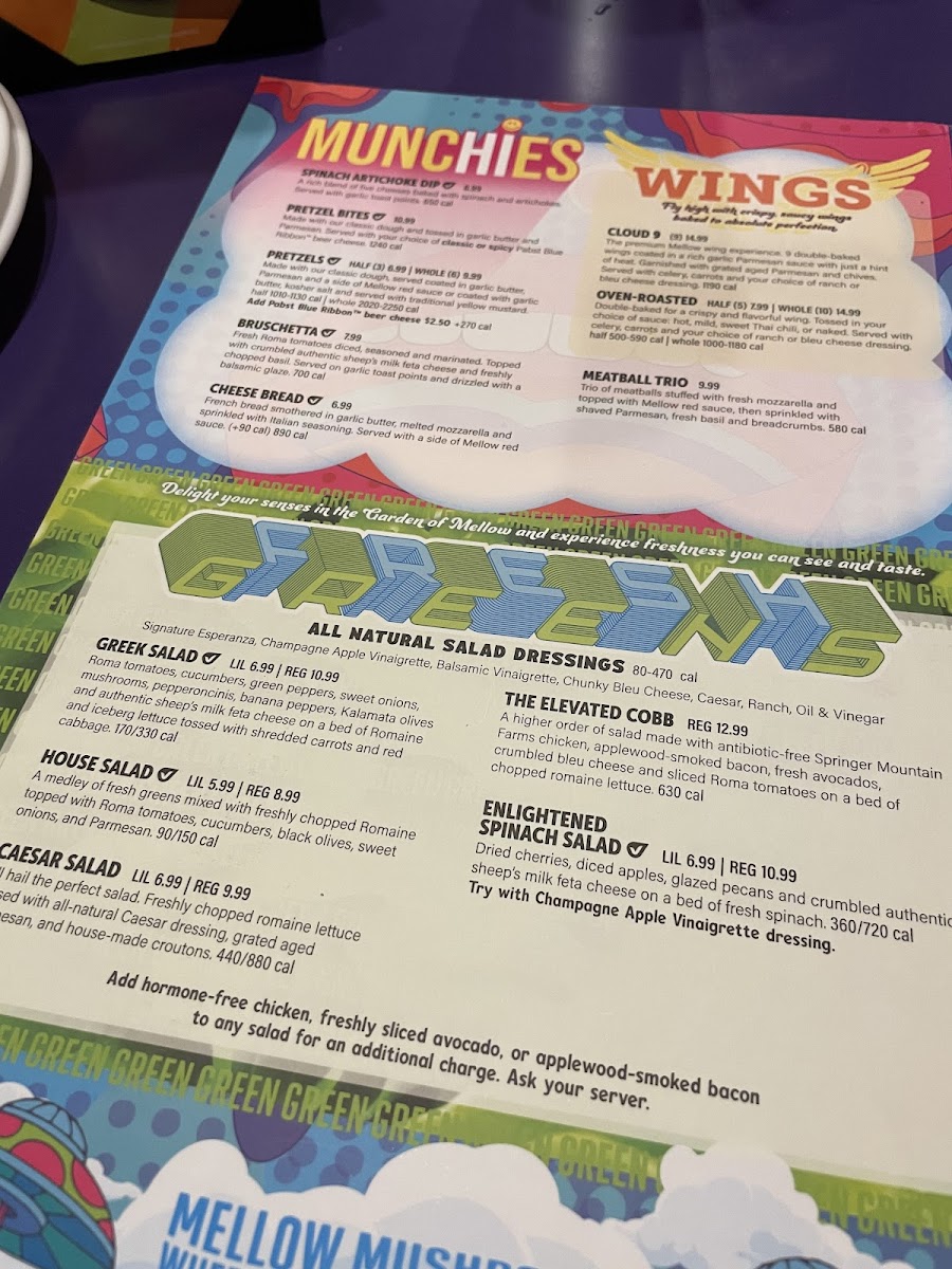 Mellow Mushroom Rome Photo Menu 5