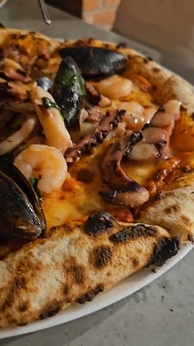 Trattoria Terra Restaurant & Pizza Photo 2