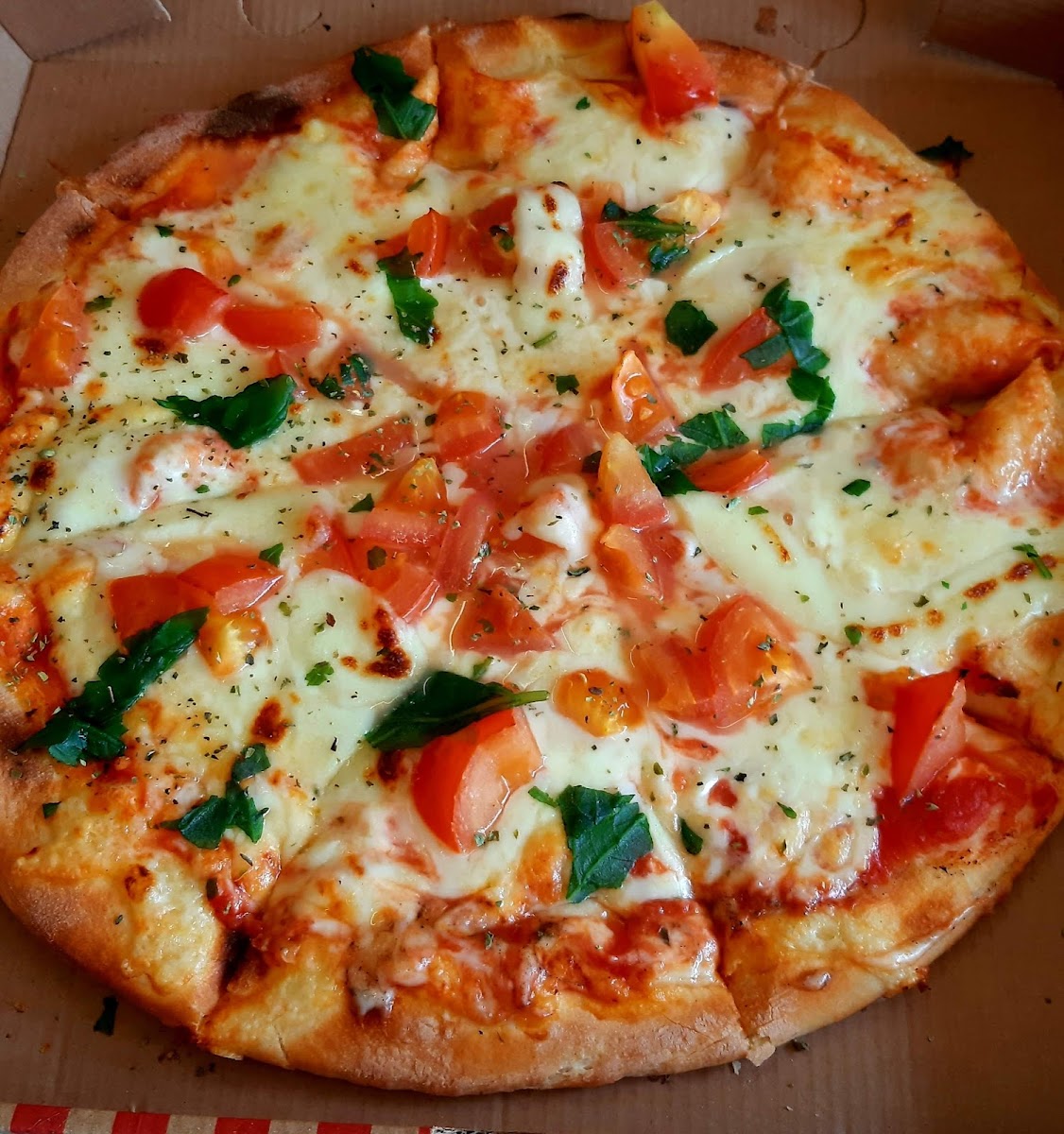Pizzeria Pippo da Franco Photo 8