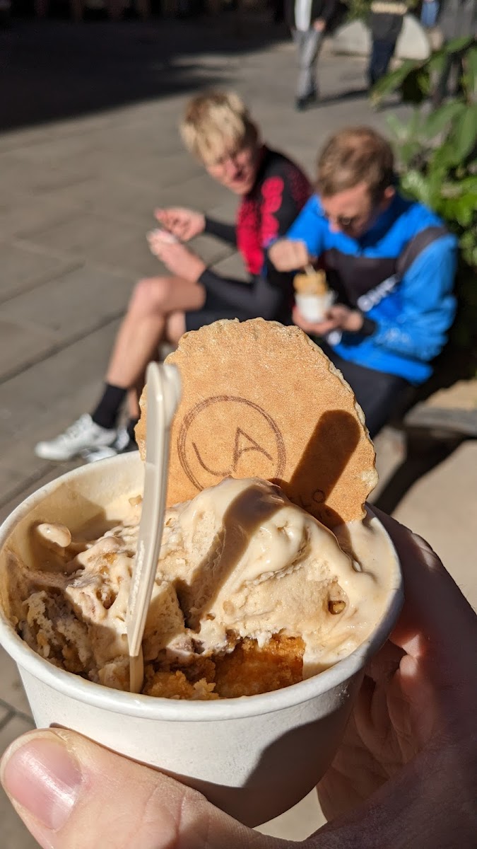 Levi Angelo Gelato Photo 6