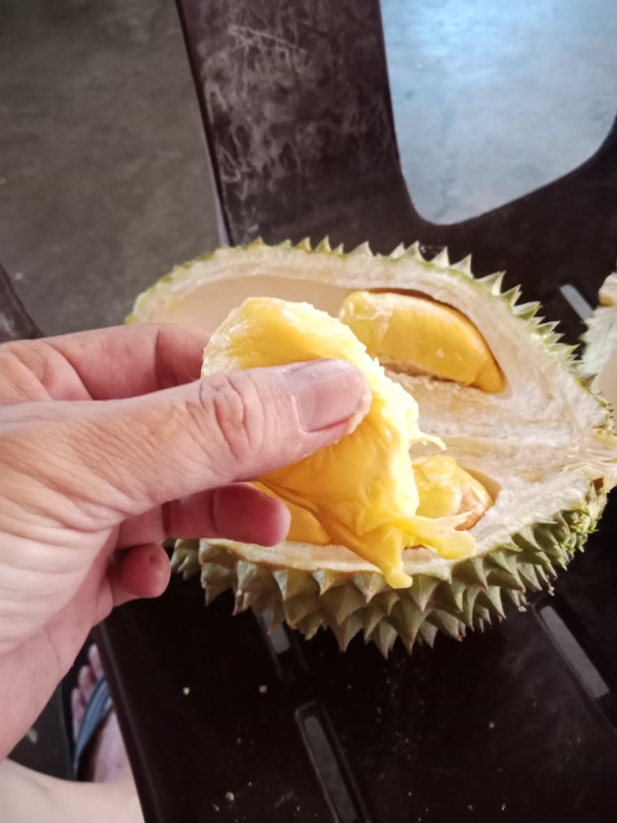 Kedai Kopi Tong Kam Loi 金業茶室 Photo 6