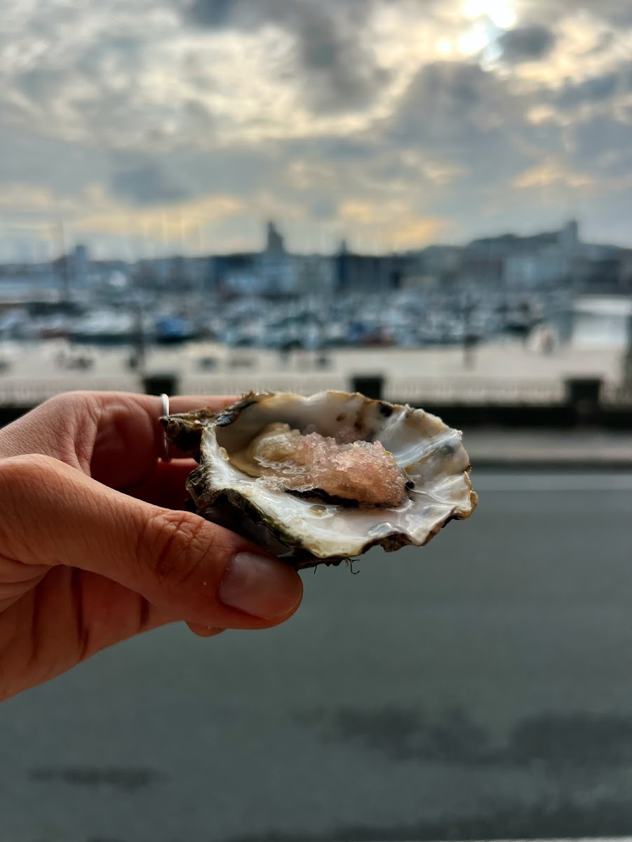 Nor Oyster Bar Photo 6