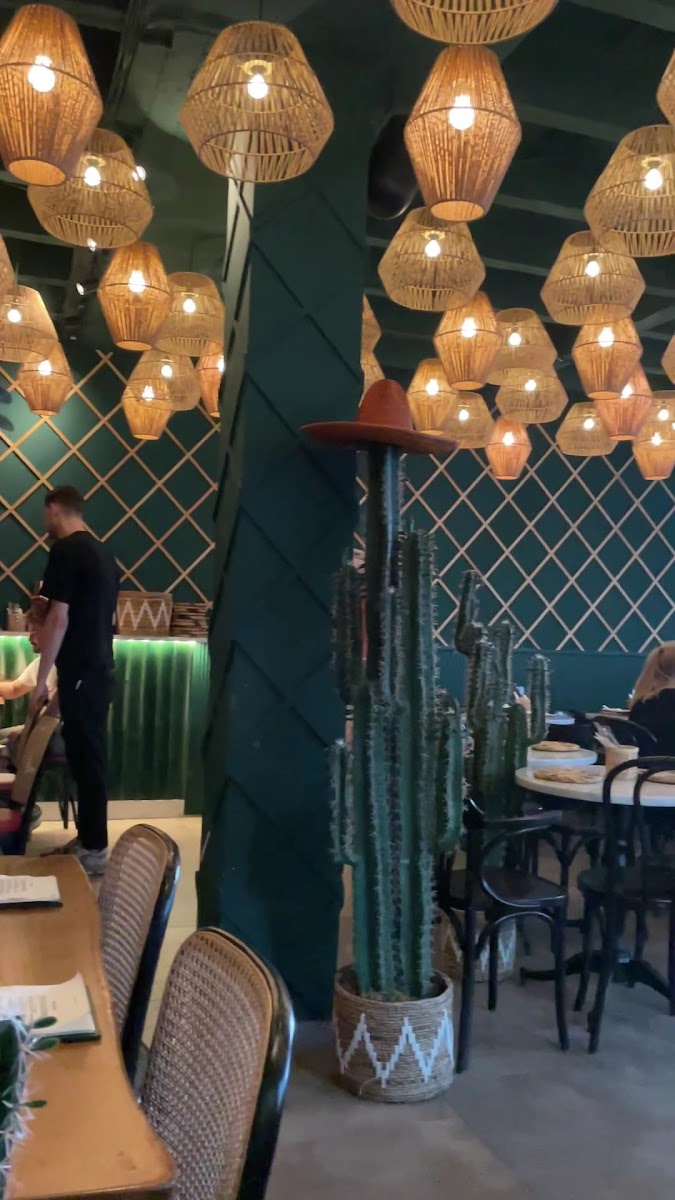 ALEJANDRO’S mexican kitchen & bar Photo 2