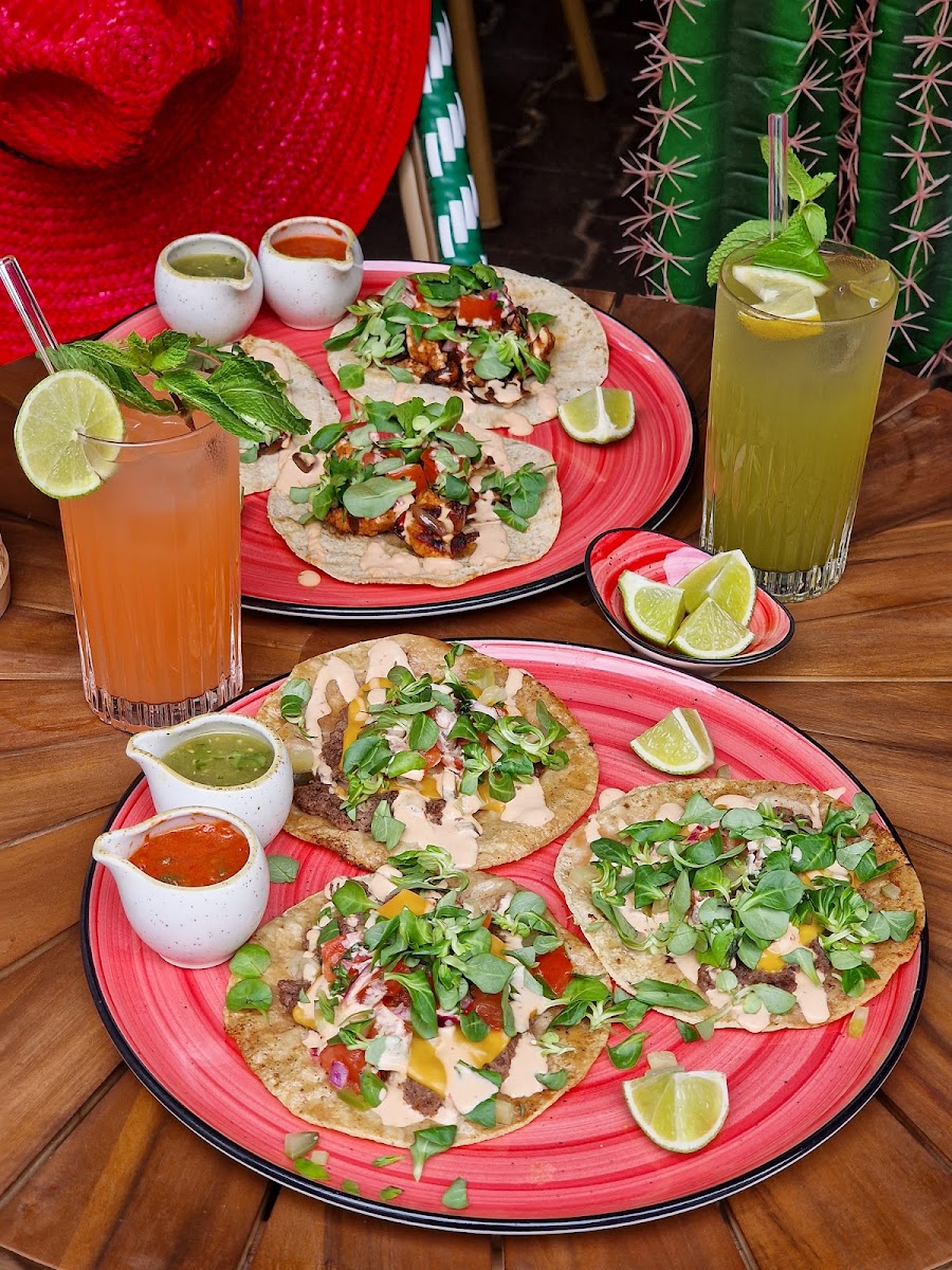 ALEJANDRO’S mexican kitchen & bar Photo 3