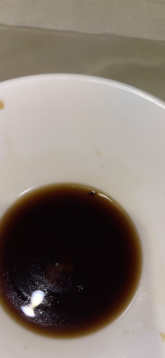 Imperial China-Restaurant Photo 7