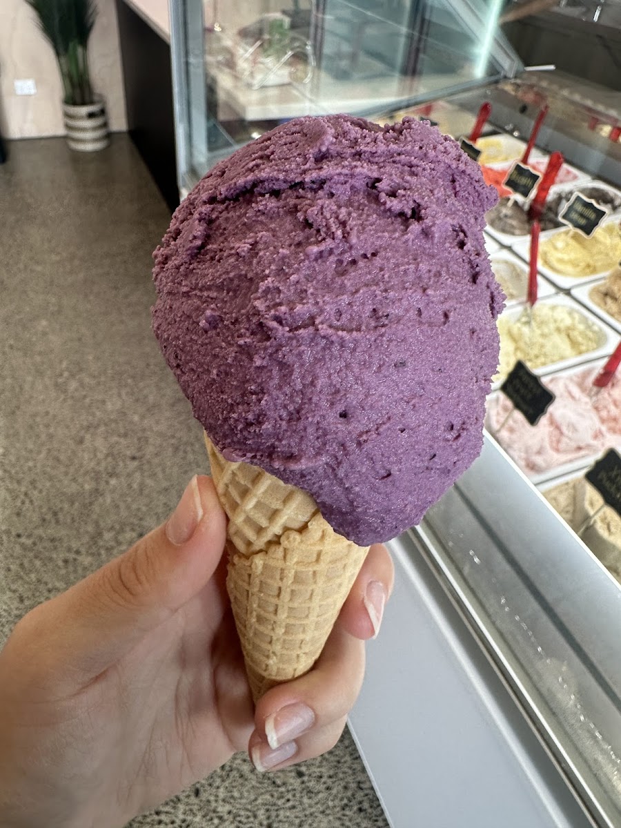 Lil Lunas Gelateria Photo 2