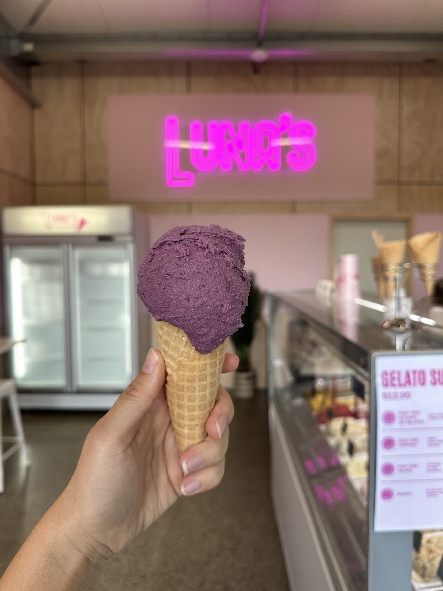 Lil Lunas Gelateria Photo 3