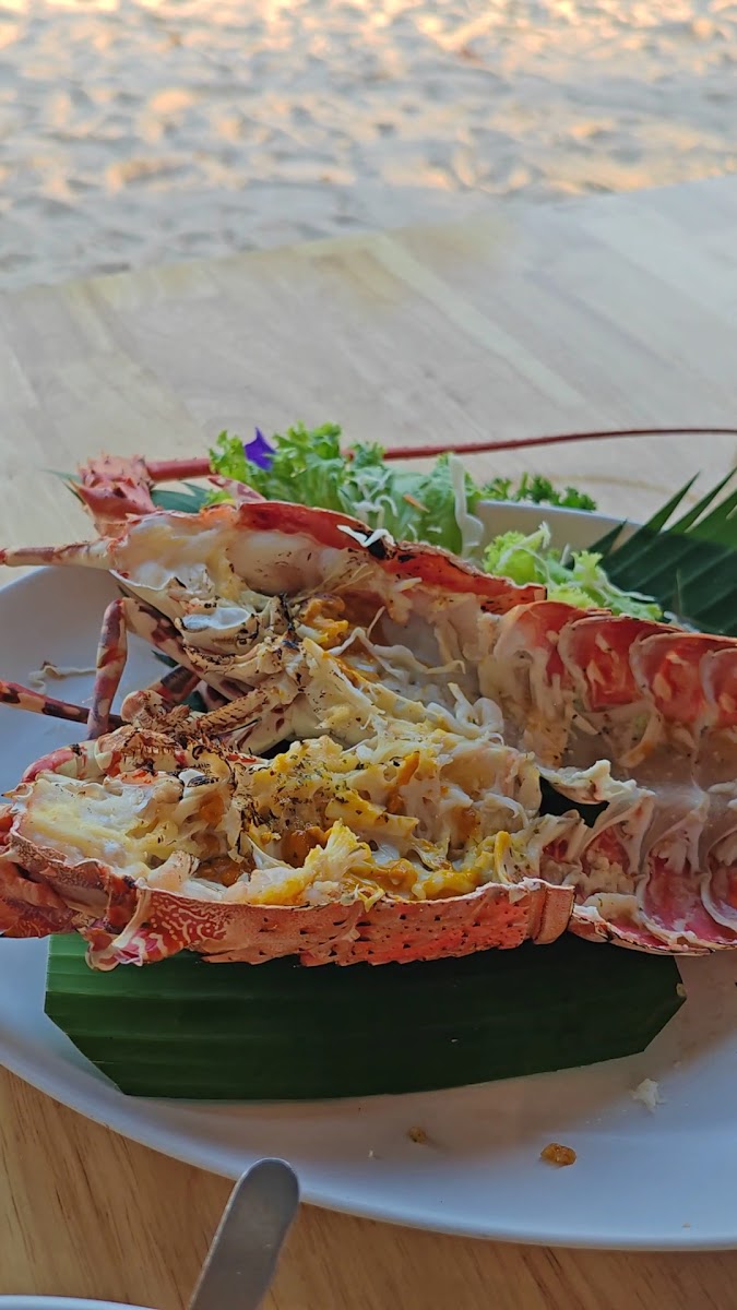 Phuket Lobster House Photo 2
