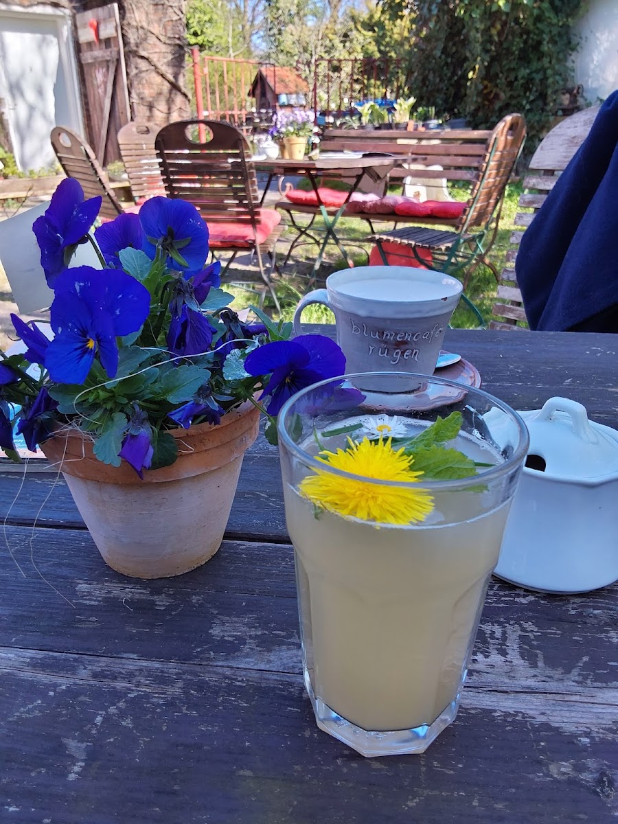 Blumencafé Rügen - Sök di wat ut! Photo 10
