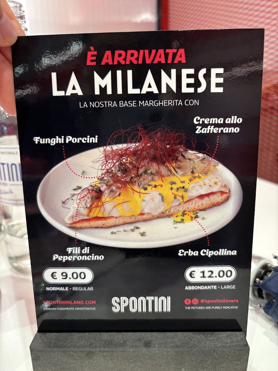Spontini Photo Menu 1