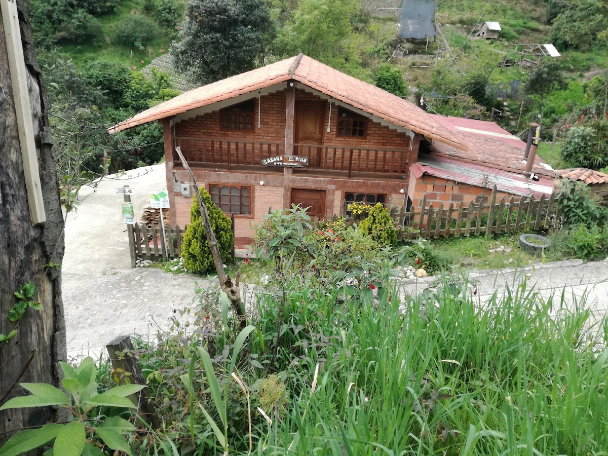 Cabaña del pino Photo 3
