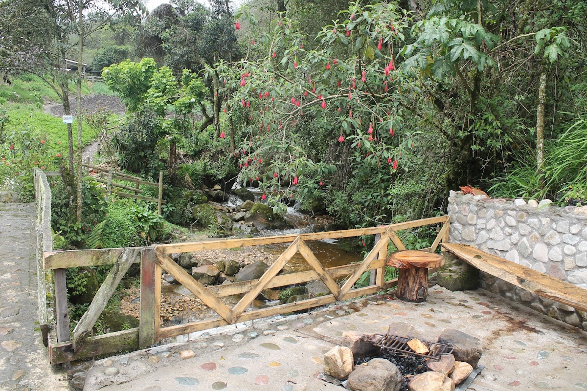 Cabaña del pino Photo 4