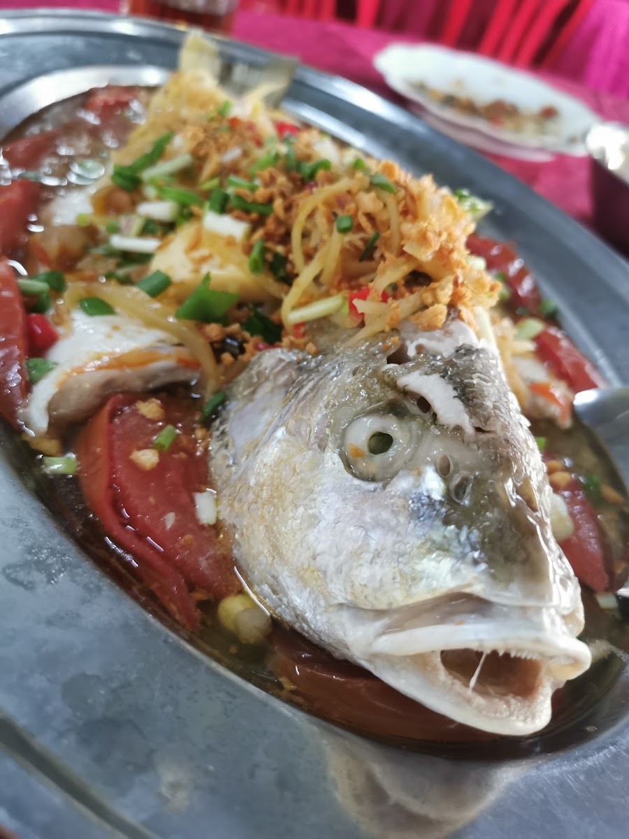 Wang Wang Seafood Restaurant Photo 5