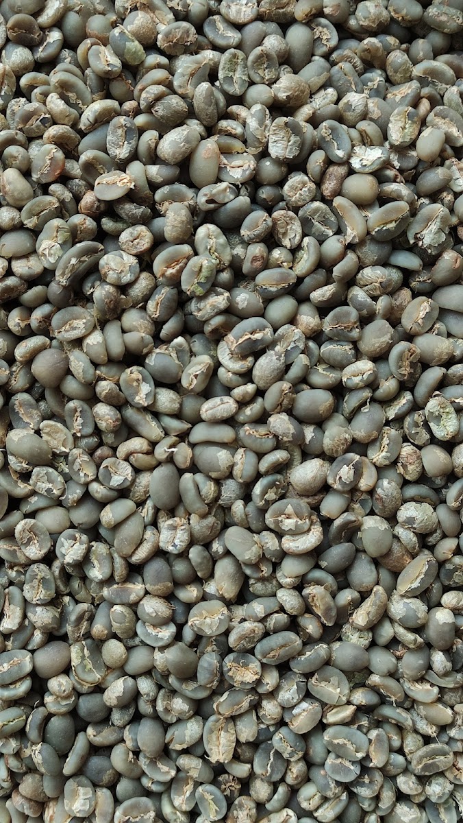 I Said Coffee (Coffee Shop and Roastery) Photo 7