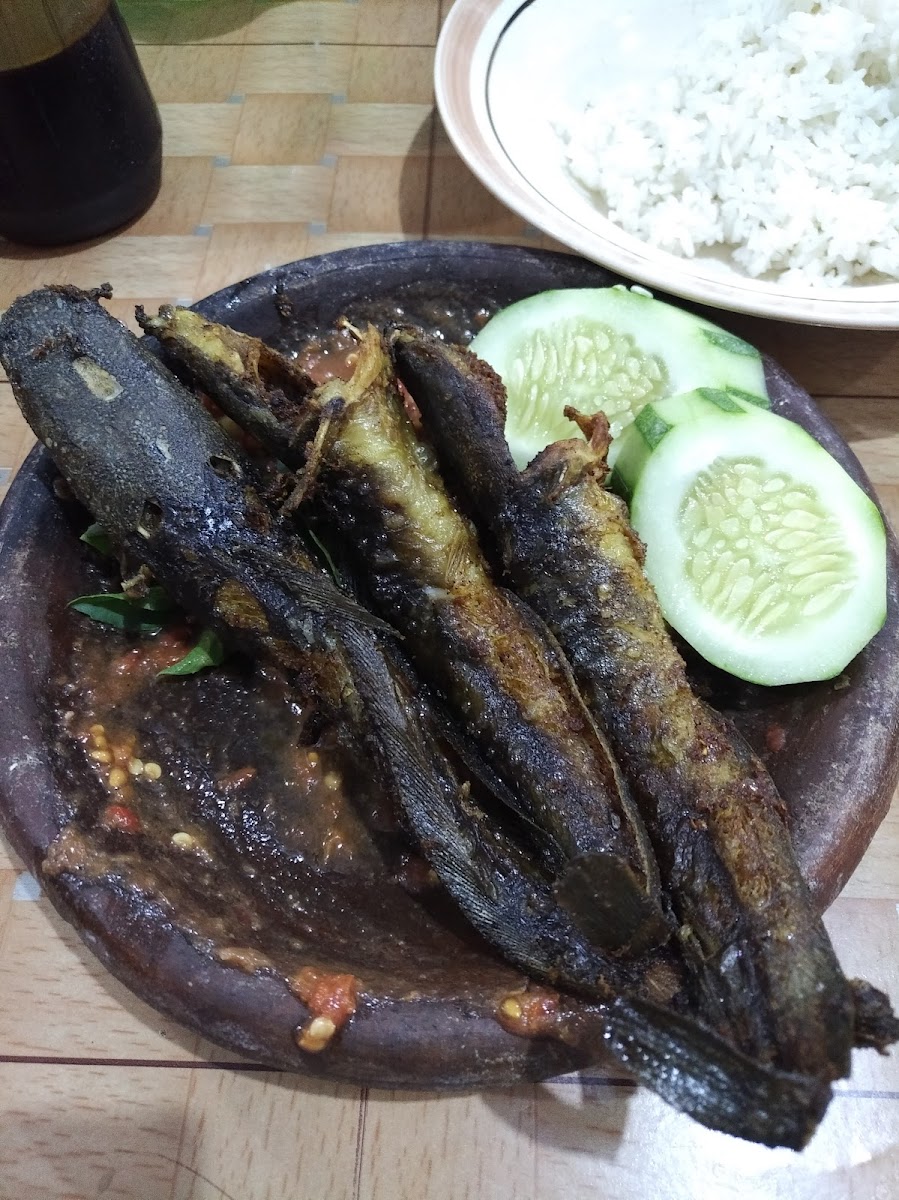 Rumah Makan Pecel Lele Salsabila Photo 5