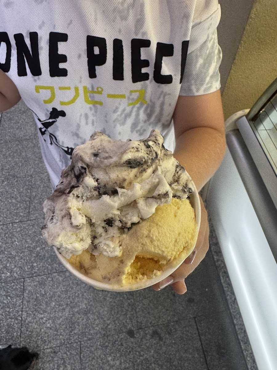 Gelateria Vainilla Photo 4